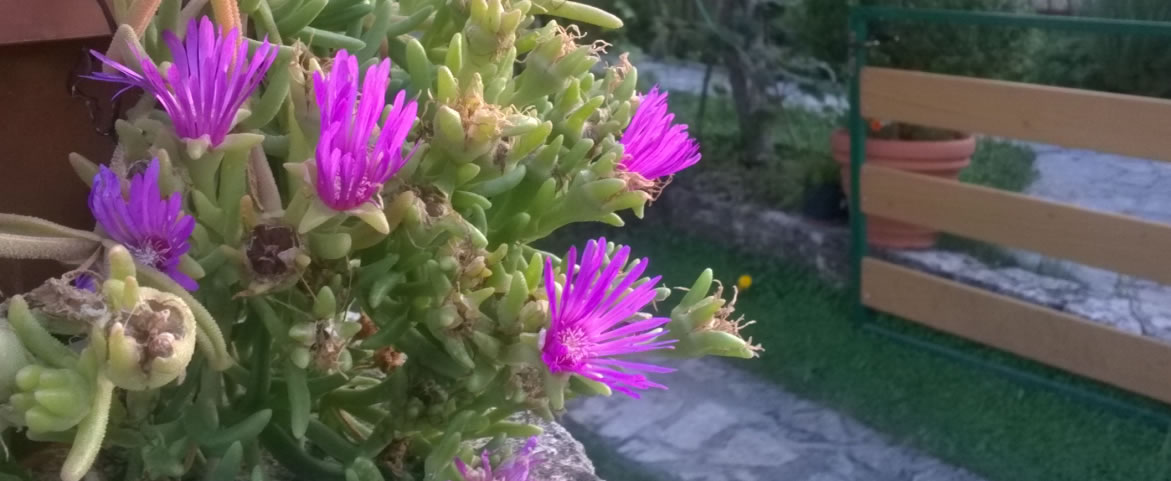 Želite pregled, testiranje, terapiju?